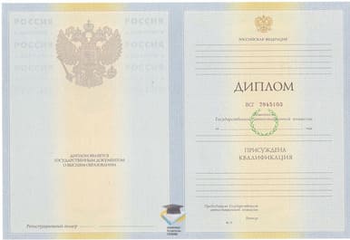 Диплом МГПИ 2010-2011 годов